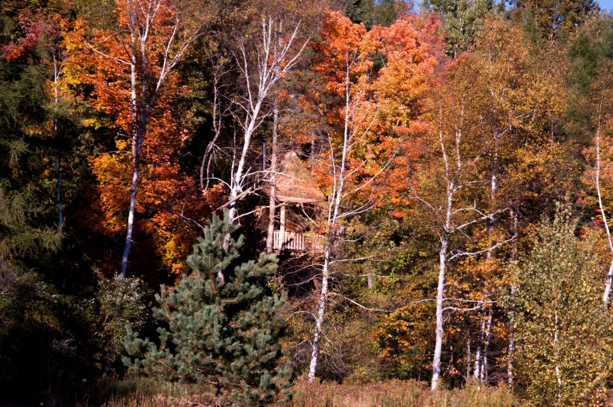 Les Cabanes Du Trappeur Wentworth-Nord Εξωτερικό φωτογραφία