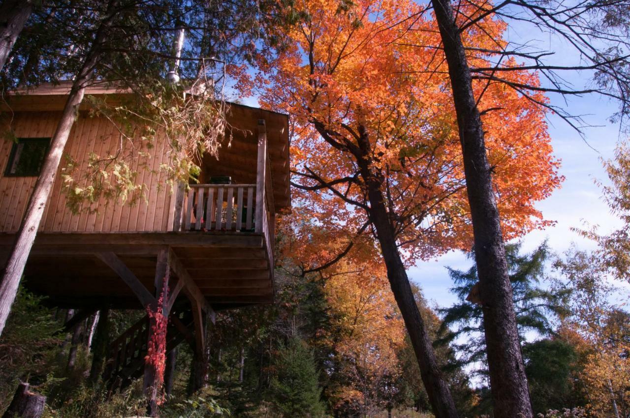 Les Cabanes Du Trappeur Wentworth-Nord Εξωτερικό φωτογραφία